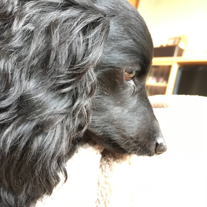 8e6e01aa 3625 4e21 aff2 5c3545f73703