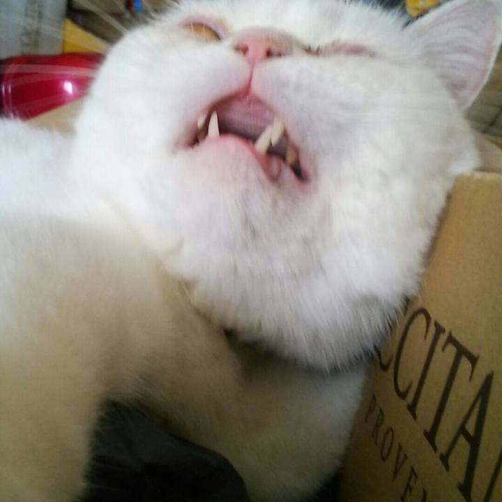 8e6e028c 14a5 4304 8a26 d0b6db13abb8