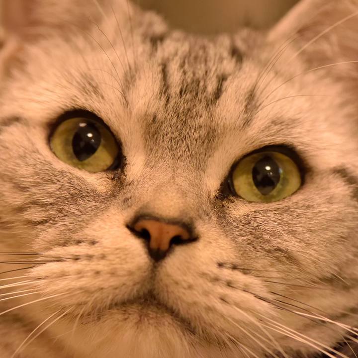 8e6ed7a2 23ef 4b3a a470 d511f8715b27