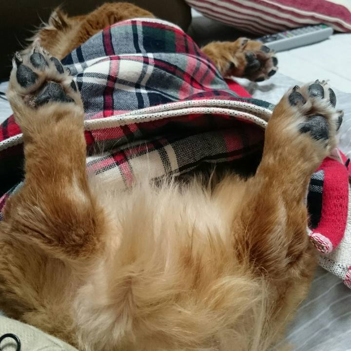 8e6ee922 a709 4491 9469 ca4fa1f367b4