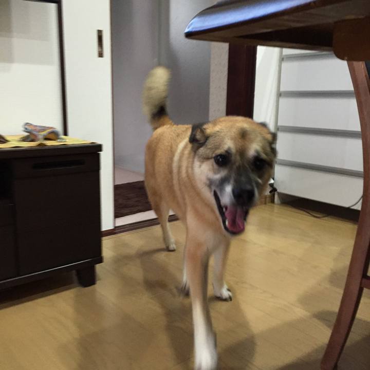 8e6ef18c 1852 4f9a 8a61 65cdaa4855fa