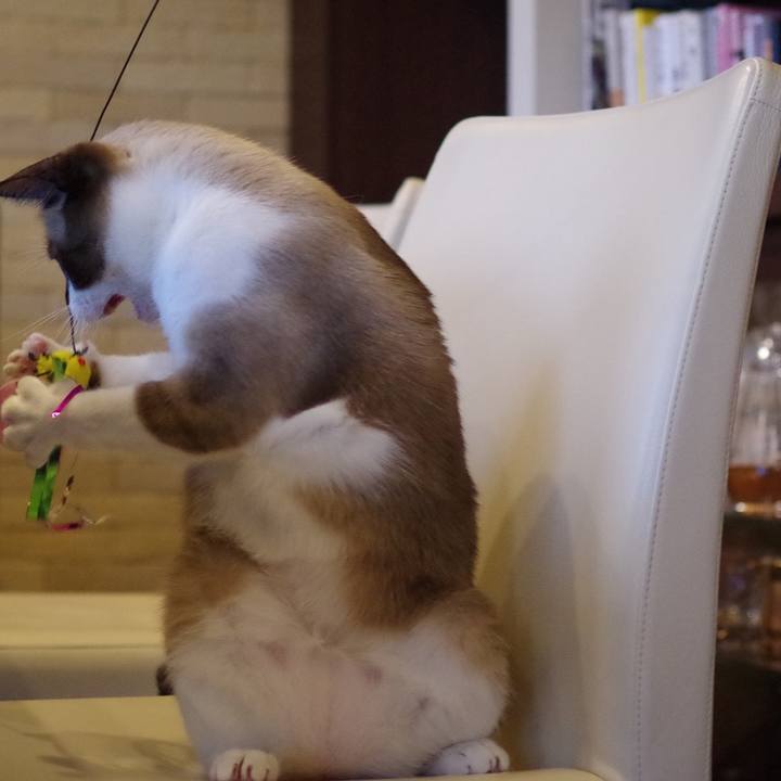 8e6f9682 3871 4c53 b396 f51b1790a95b