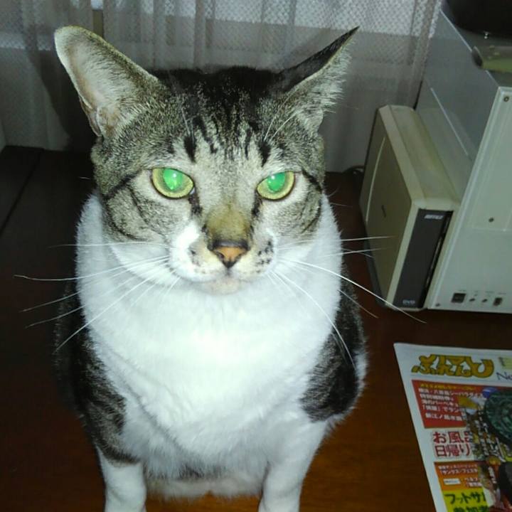 8e704c51 5a21 46a2 87c7 b001169d8d75