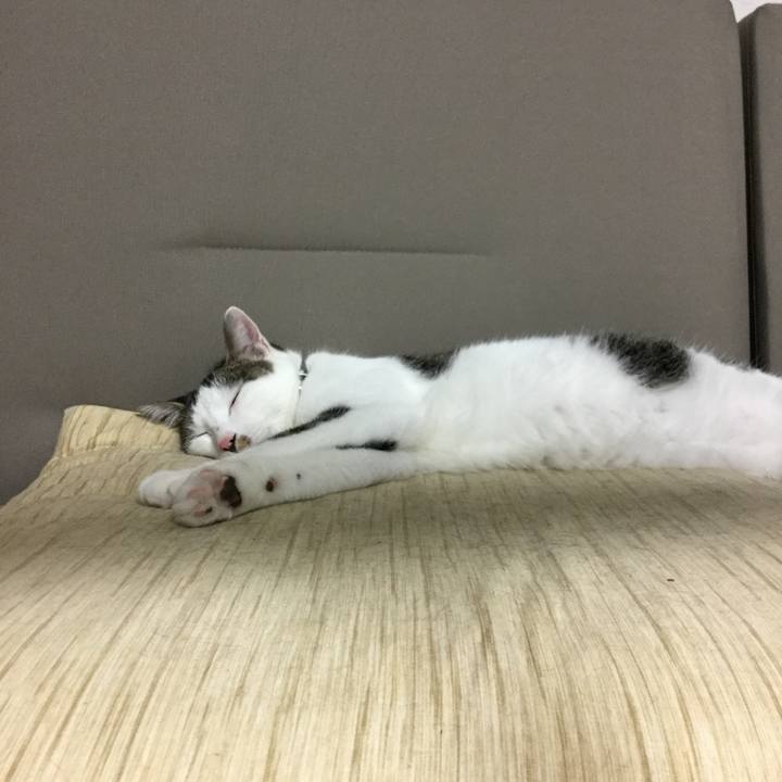 8e70ddb8 ce73 4fd2 80ac aabcb3c2cb95