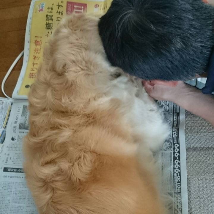 8e7103b4 97c7 45f2 b3c6 ec5f5aefaa29