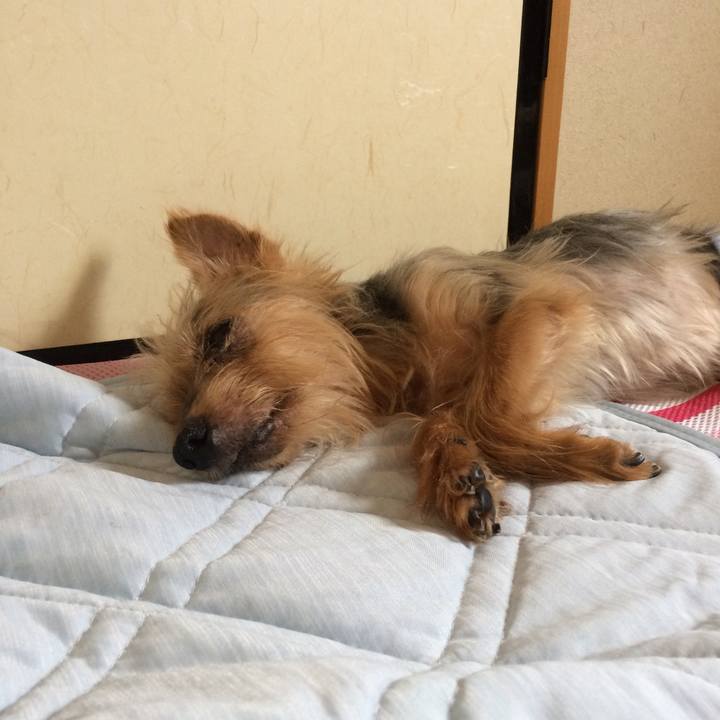 8e714714 8b64 44c2 a3f4 e9b521ae1563