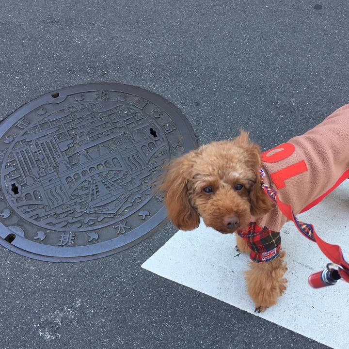 8e719d4d ea65 4a3b 9057 5acb6af875fb