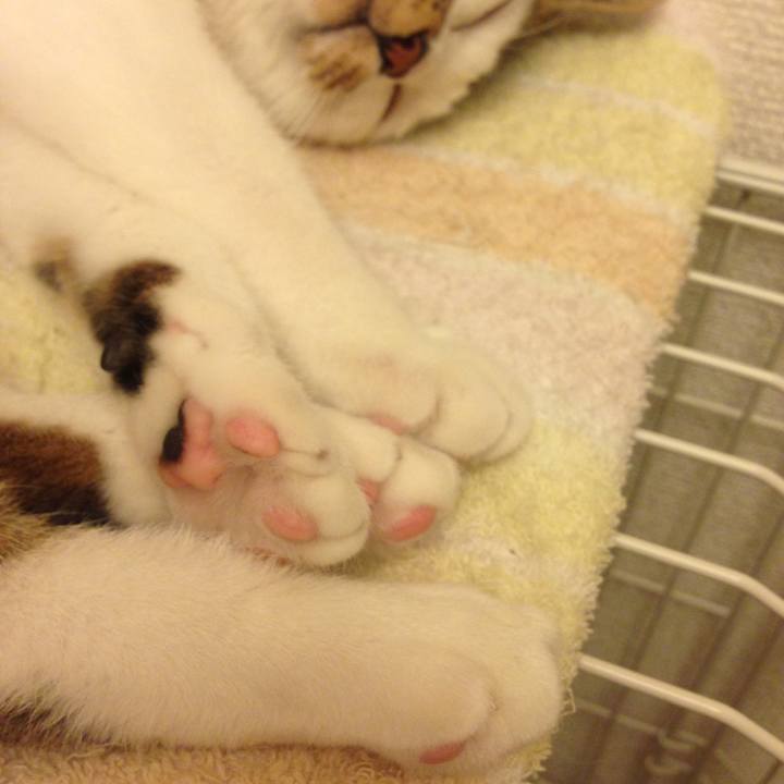 8e720784 709d 4752 9370 e4dd4289f8a5