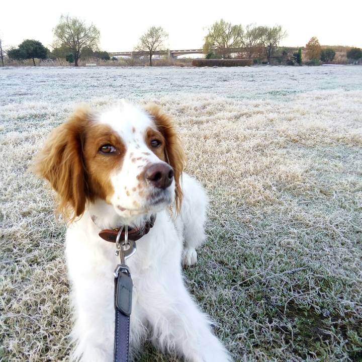 8e72b11d ed49 434b a90a c0c3f35f2f4b