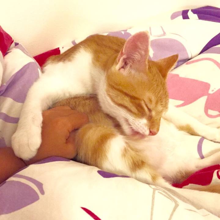 8e732548 0075 4e76 b6d5 161d25645719