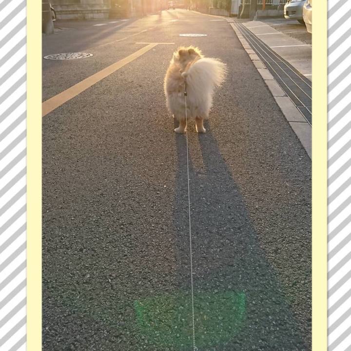 8e734acc a130 48a8 924b 2b790419a2c9