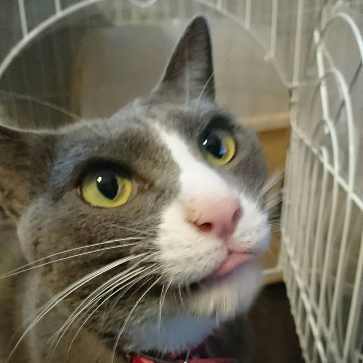 8e735688 5138 4a4b 9d01 f88c04709ba1