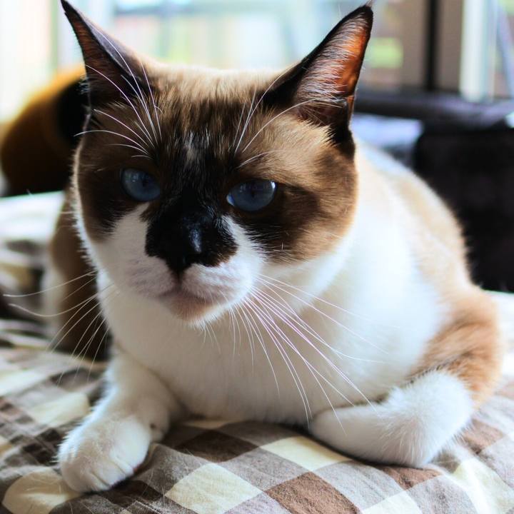 8e735dcc 67c9 4b59 b2d7 be61b1f0ede9