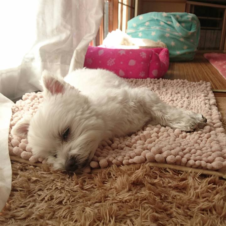 8e73c3e4 c507 47b6 8fd4 4db459ebdeb2