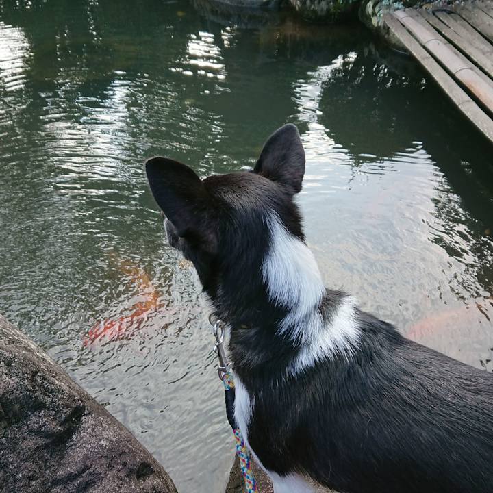 8e748328 fc6a 4ba0 8753 3bde584aa426