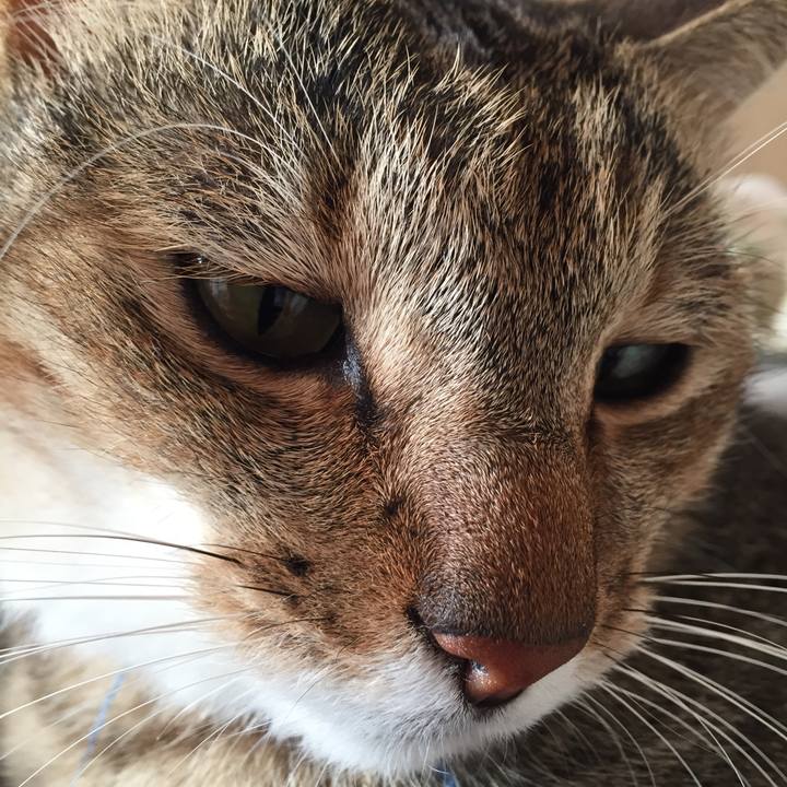 8e75771b 8739 43ab ae50 9d902d6648f7