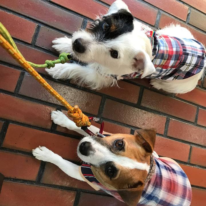 8e759776 ea22 4305 8a72 29b90c856d73