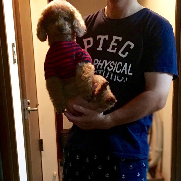 8e75d31a e256 4afb 8734 d2f41699b3dd