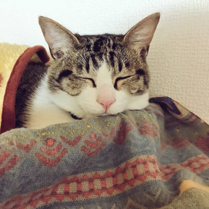 8e7624cc b91e 4fde a95a eddb846b5d34