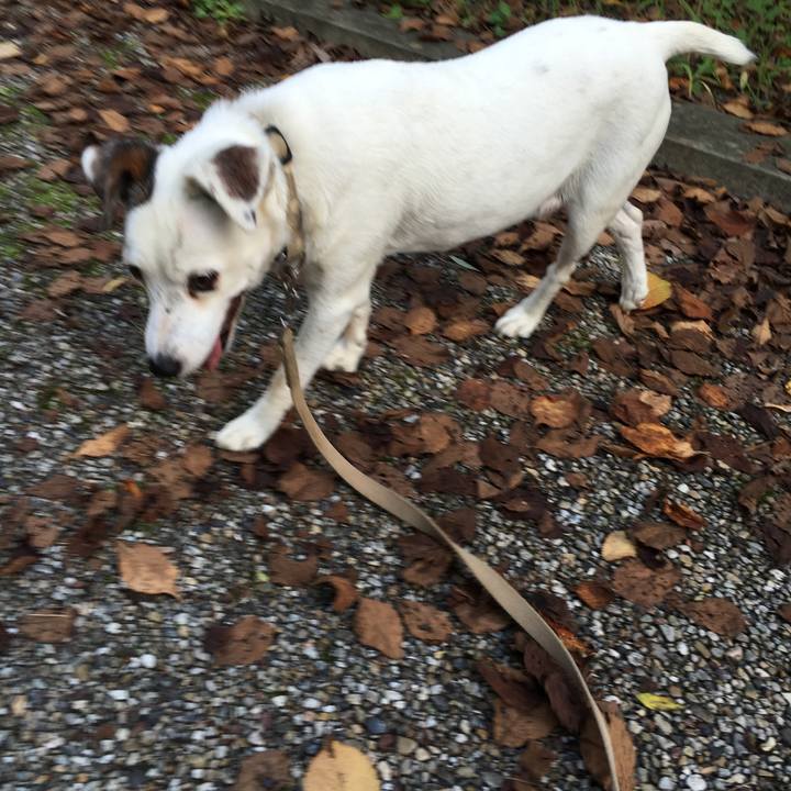 8e7751cb f260 4862 8431 5b39c37cbd87