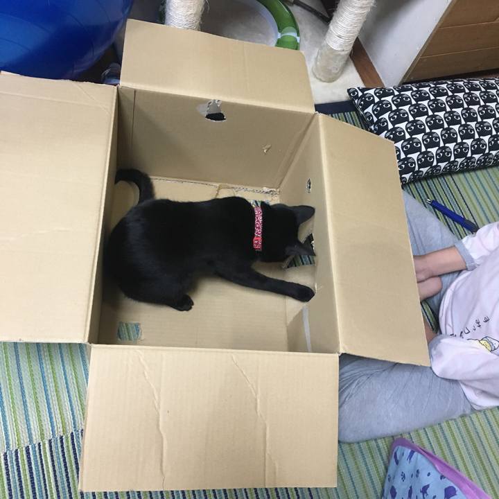 8e77ab13 baf7 4287 ab2a 479ff9a0e88a