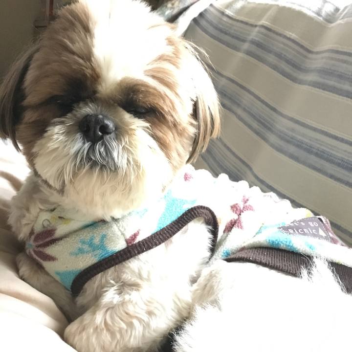 8e77fba8 52a9 4ed6 a660 654aa3b9277d