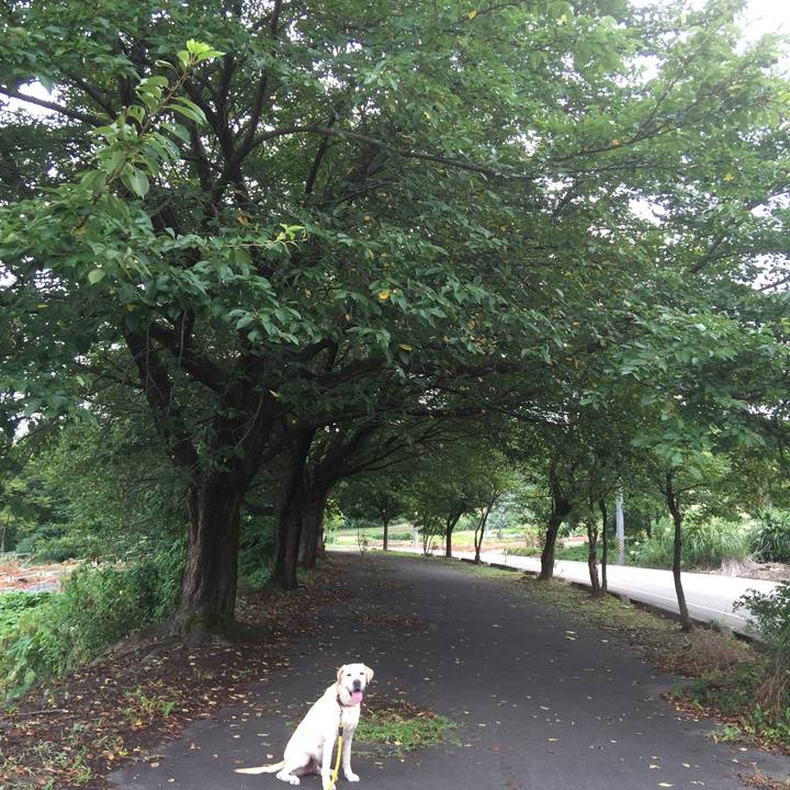 8e782075 39bf 45f2 9daa 8fdeba95b1bd