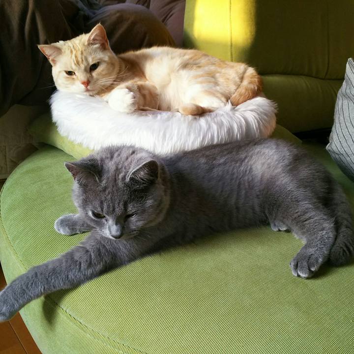 8e7886ee 52dd 4095 bfc0 23baf118f527