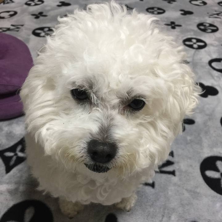 8e78b2b3 a7d4 40ca 872e d3d22781edb2