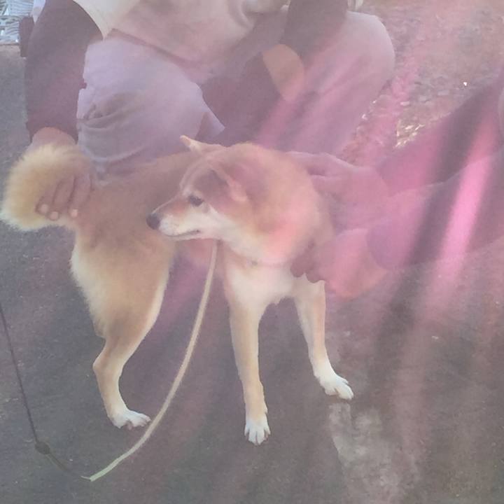 8e790cf0 6aa8 4fa9 866c 81913477b103