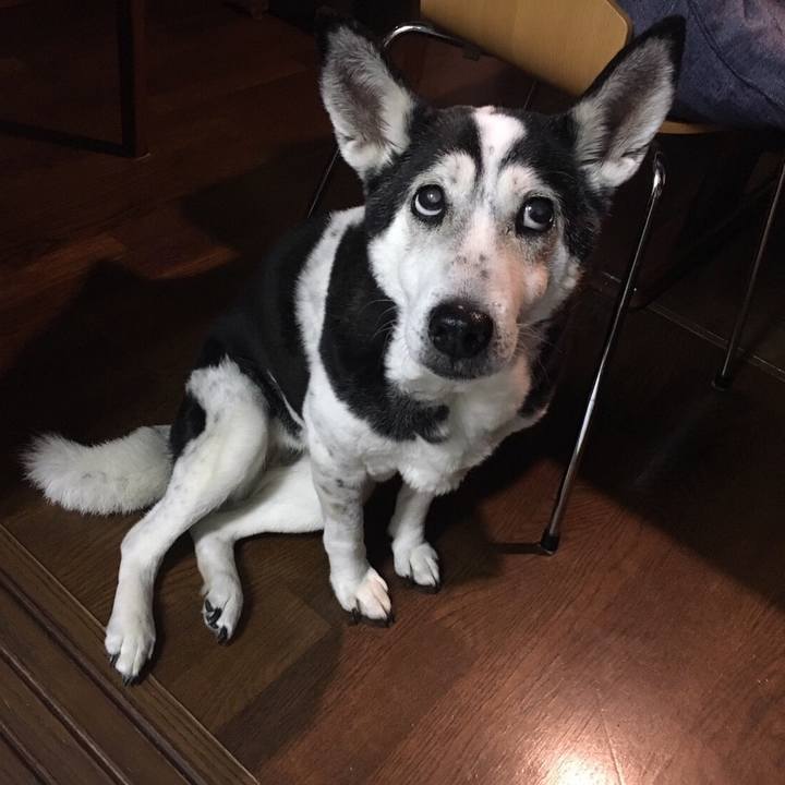 8e7962f3 5b30 4499 8156 5d81b2163ab4