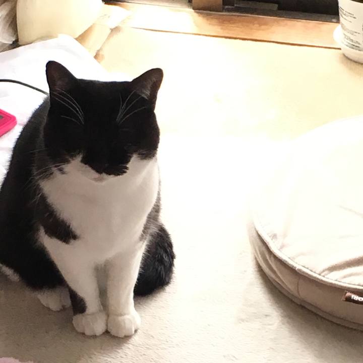 8e799978 fa93 469c b4e5 8a2661283445