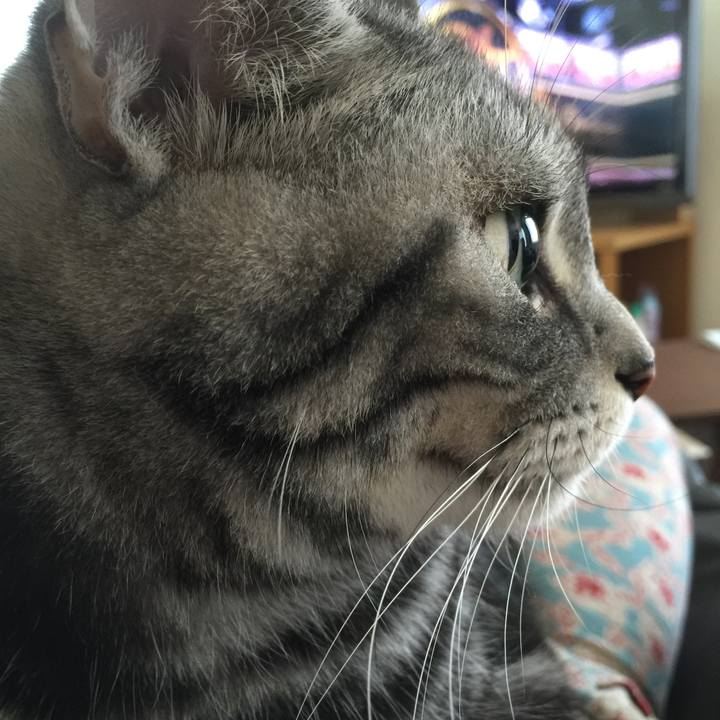 8e7a0586 7131 4f4a a7e8 ab380c27e7d4