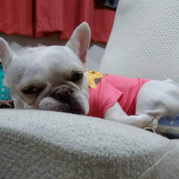 8e7a4ebf 2e7b 4c67 a6ec d881786f7d08