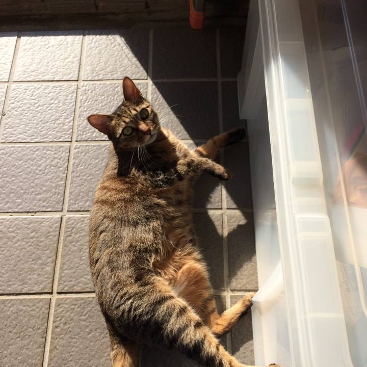 8e7a51db 5c2f 4fc2 8fd6 1890cf4d638d