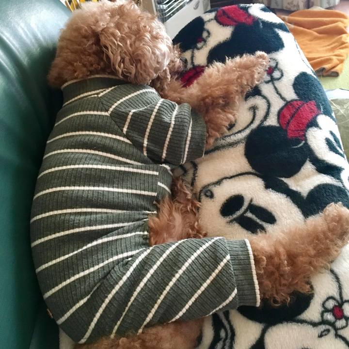 8e7a845f 6a80 4572 8341 eca24892e2a7