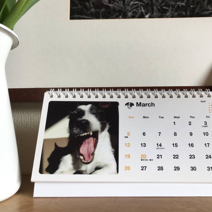 8e7a9c93 be71 434b b719 2fef9a405672