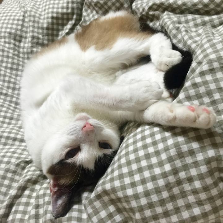 8e7cb552 1d4f 4526 93ee 23b8b7bd3995