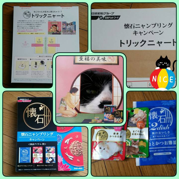 8e7ce29f e443 4116 9bcb 15cf07cbf925