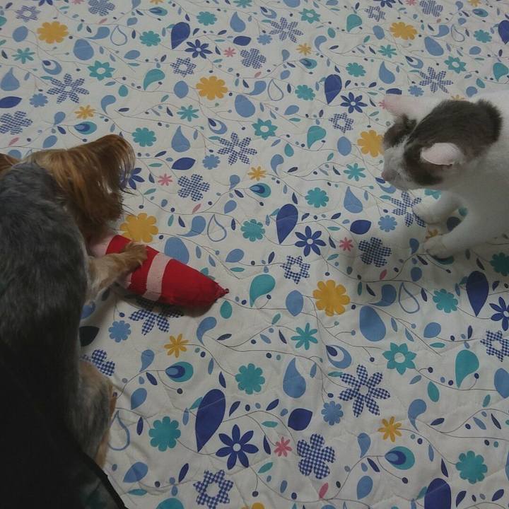 8e7d2d12 bcd5 4ed7 b617 4b3ebcc4b66d