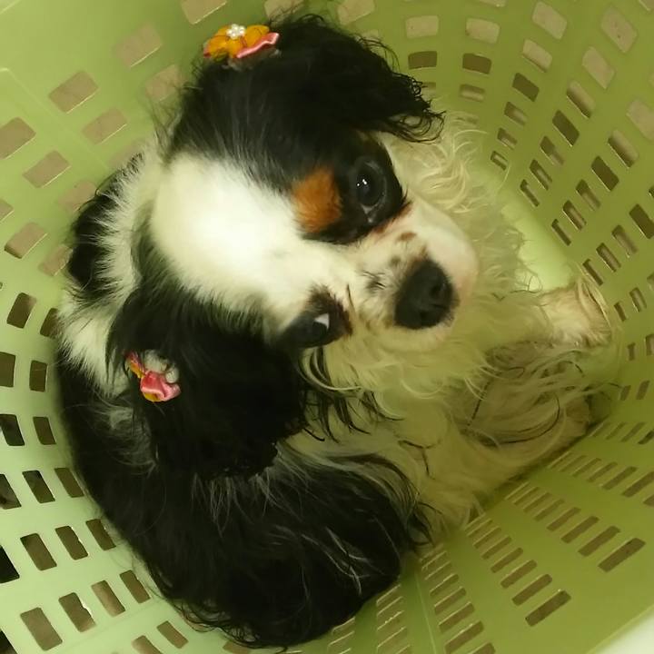 8e7d7686 4000 432f ac19 6636e7f98bff