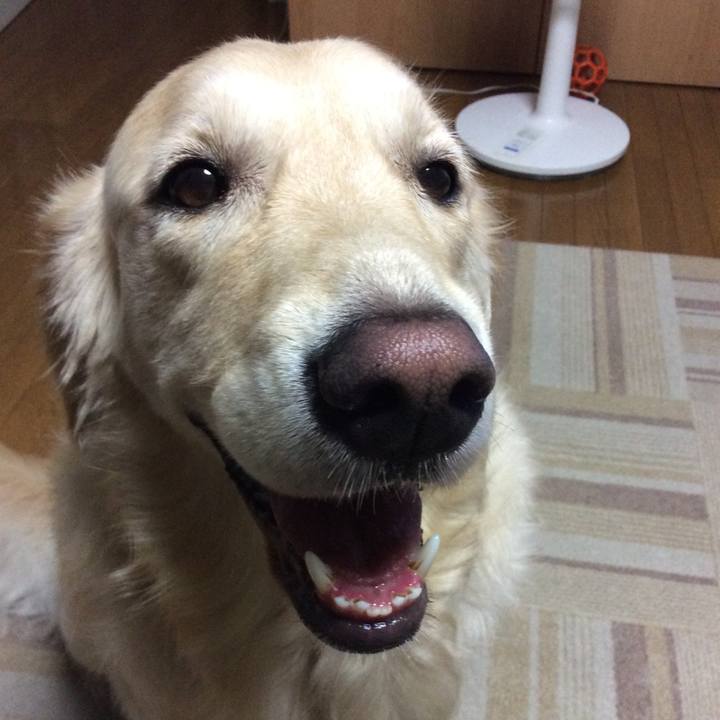 8e7dbfee d243 402c ab7b d47992bd609e