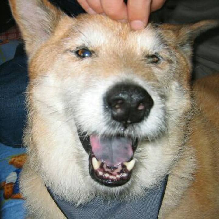 8e7dc7e5 c5ee 4143 8ba9 2f4eac164062