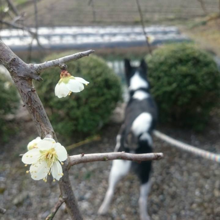 8e7e35ed afe6 4980 ac62 6674ba25aa4e