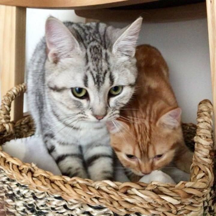 8e7ea436 c5c3 41b8 acaf 7aae2b04c005