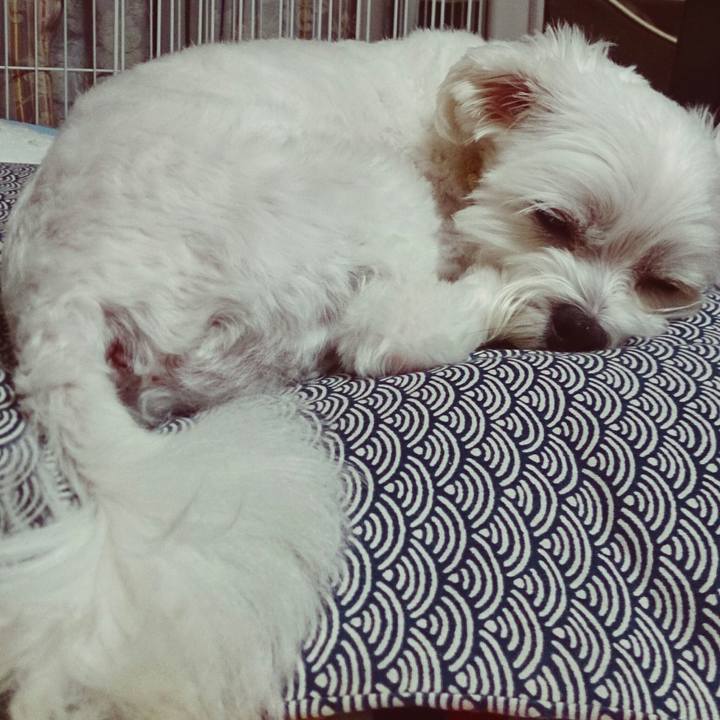 8e7edb5e 8ca7 438c 97c3 1b5c6186eaf6