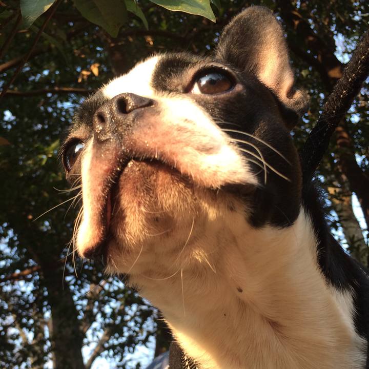 8e7ef29b d5b7 4118 9a73 c7274385d748