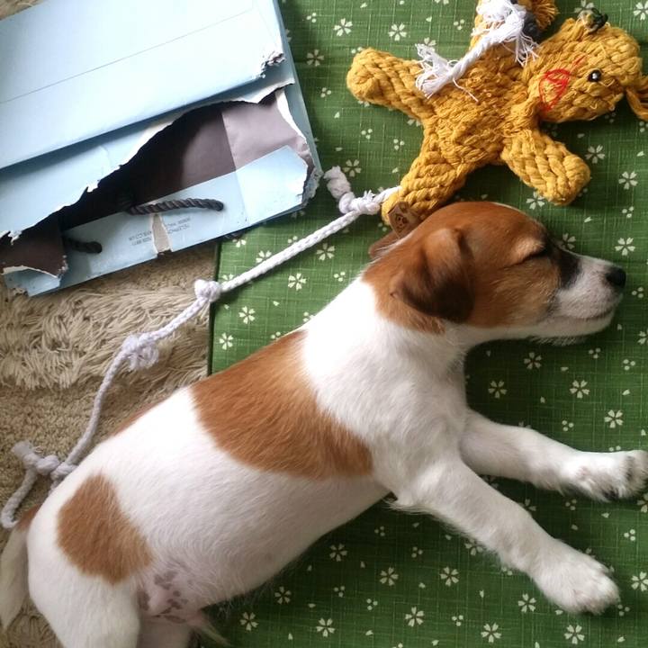 8e8007e5 b90a 466b 8e8d fe0d5ce19a6d