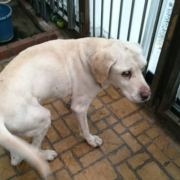 8e804748 1870 4f26 8c28 28124b3904ae