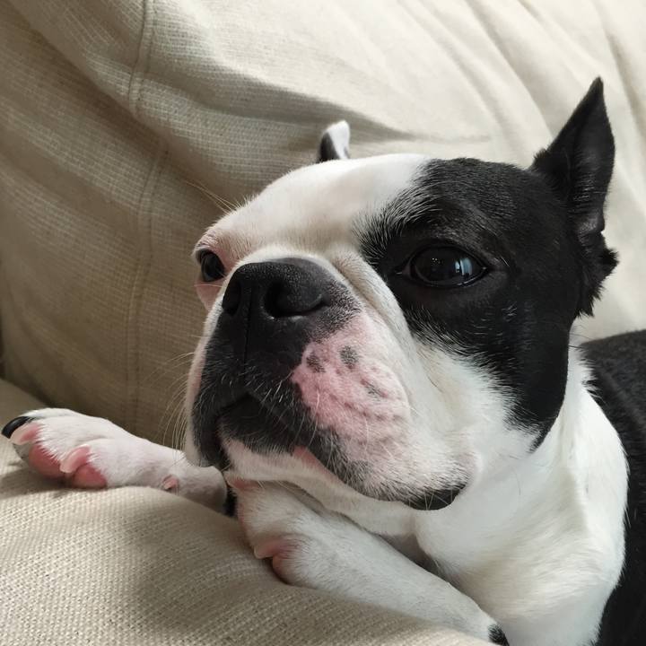 8e80ab29 ead6 4aa7 9bc8 be74d36b1d17